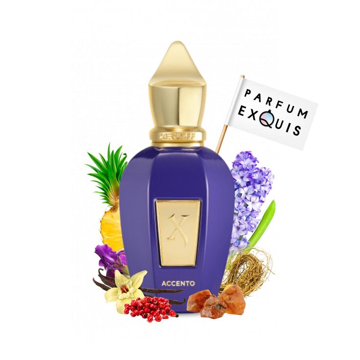 Xerjoff Accento 3.4 fl oz Unisex Eau de Parfum 100 ml