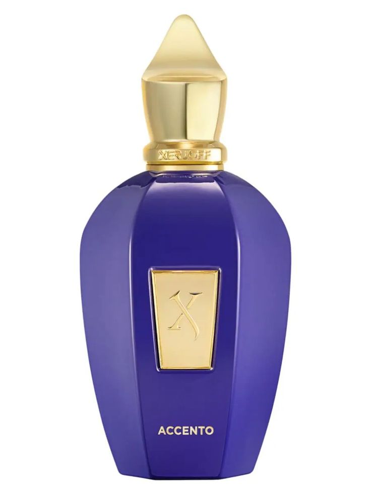 Xerjoff Accento 3.4 fl oz Unisex Eau de Parfum 100 ml