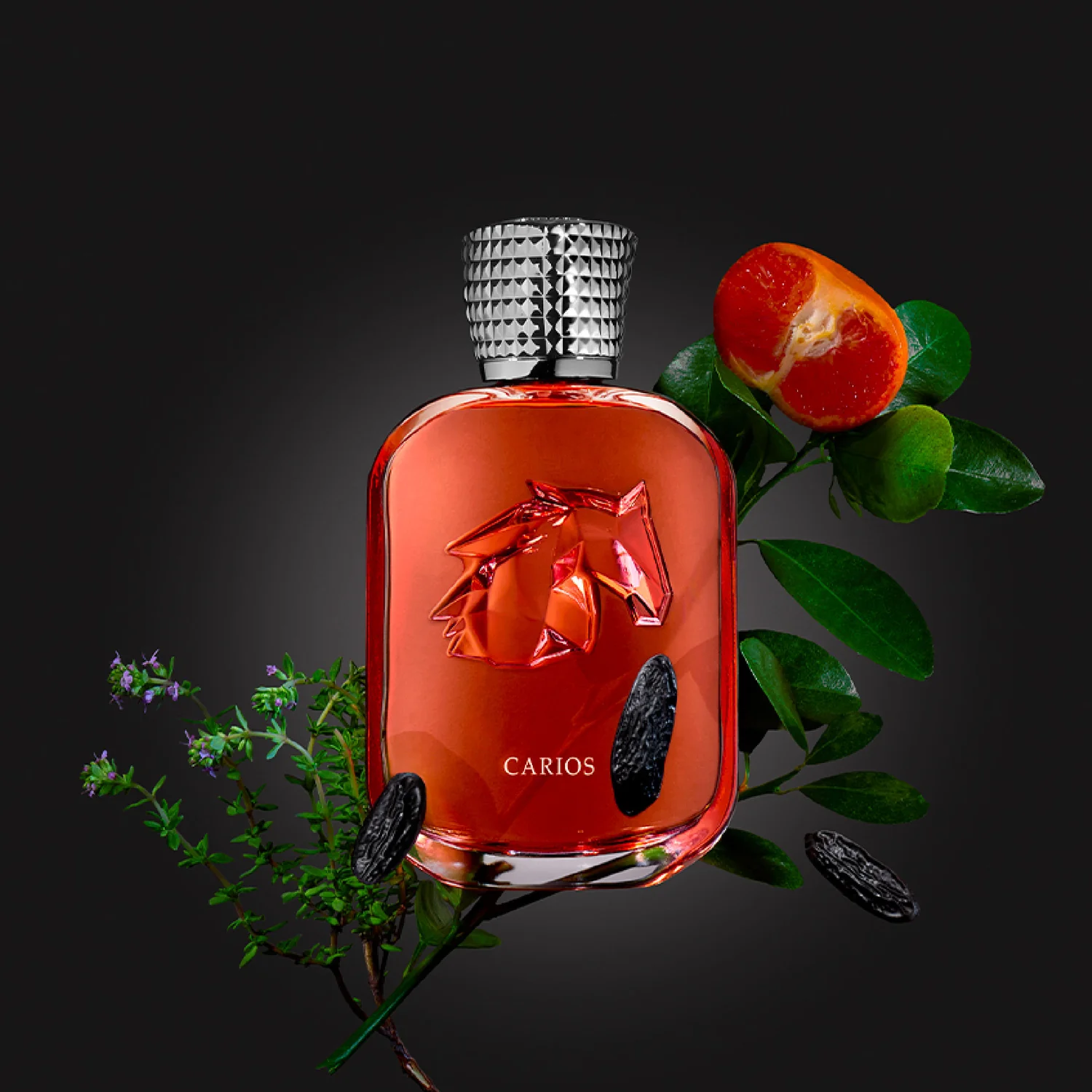 Parfums de Marly Carios Extrait de Parfum 100ml