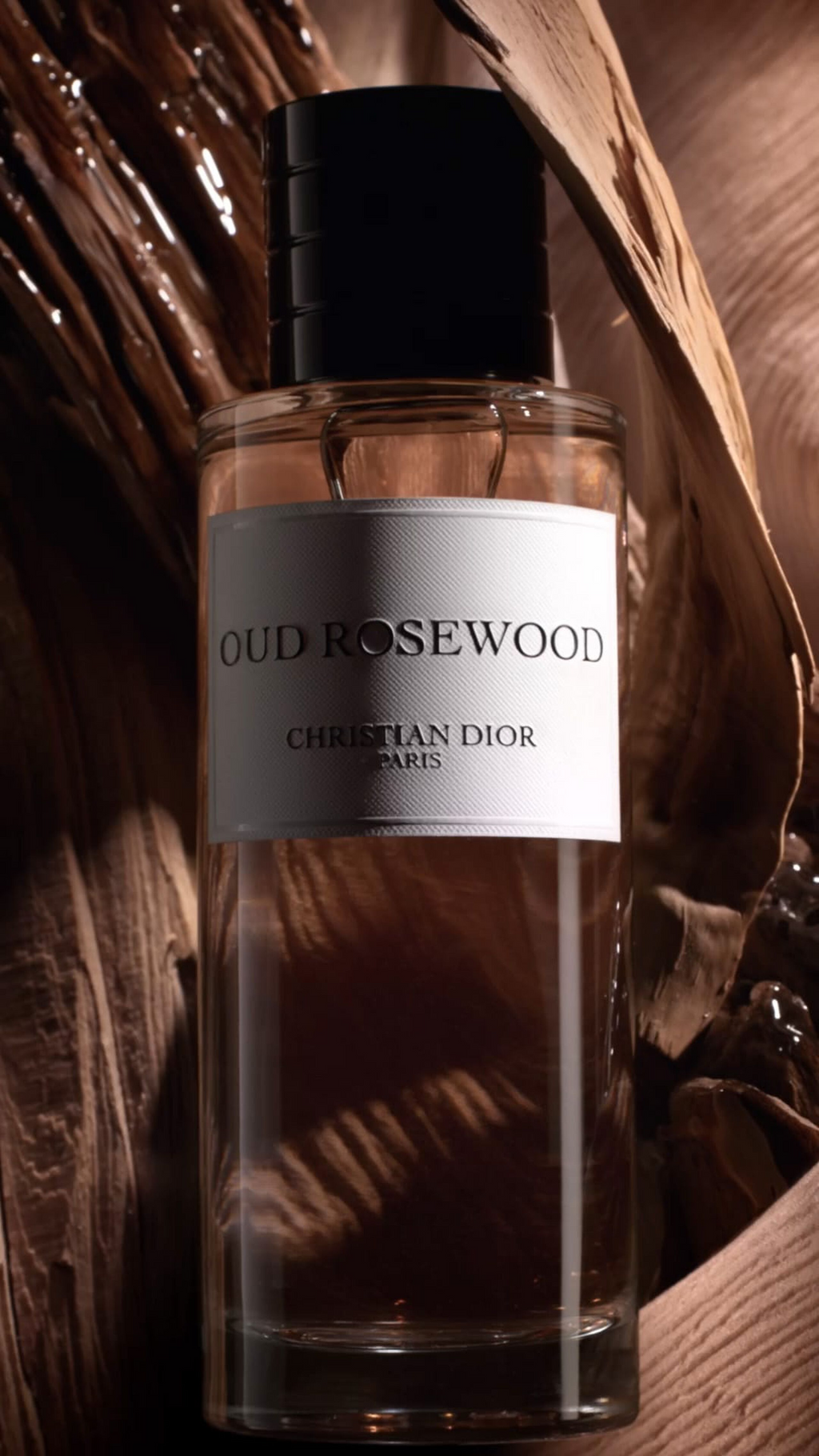 Dior Oud Rosewood Eau de Parfum - Woody and Oud